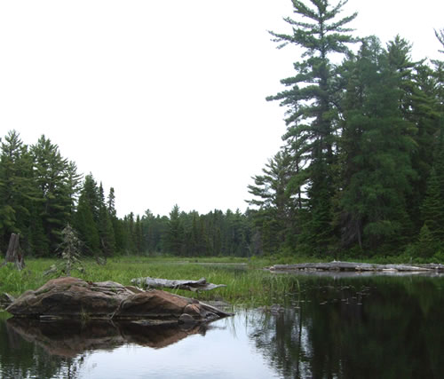 View of Crow River leaving Big Crow Lake.