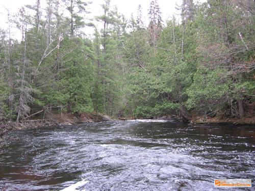 Another drop in the river up ahead.