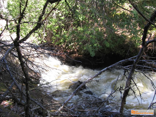 Stretch of Bonnechere River canyon.