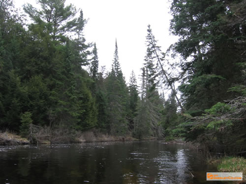 Quieter Bonnechere River section.