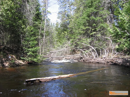 The river curving and dropping, again.