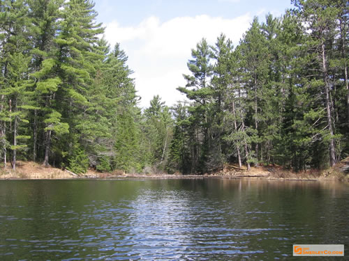 Start of the Bonnechere River.