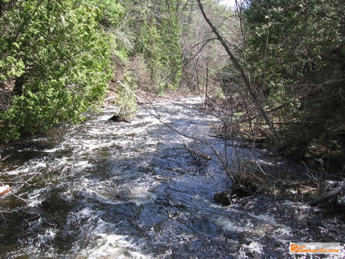 Bonnechere River starting to settle down.