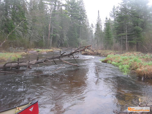 Less rock in the river and along the banks now.