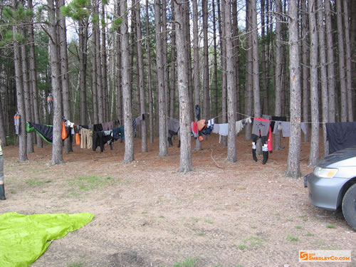 Clothesline set up among the pines.