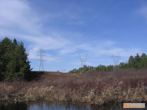 The hydro line corridor. Kind of bleak looking.