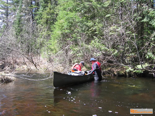 In the river.