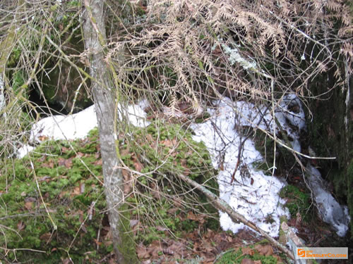 Snow hanging on in the crevices.