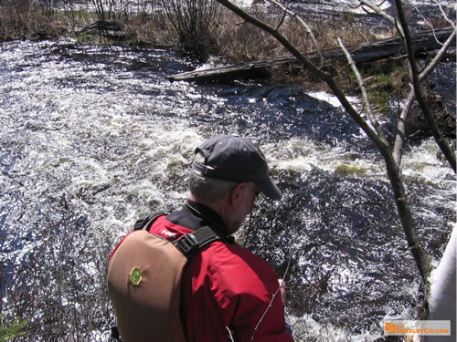 MarkS examines the rushing water.