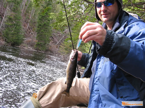 Small Brook Trout caught by Markus.