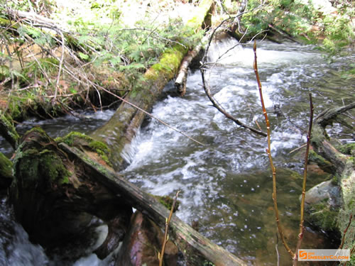 Searching the river for paddleable water.