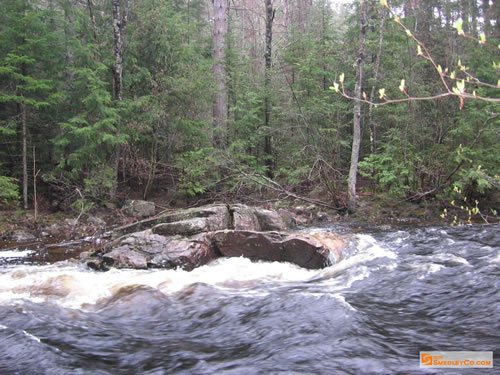 Rolling Bonnechere River.