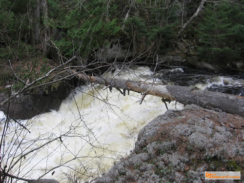 Rushing waterfall on the Bonnechere.