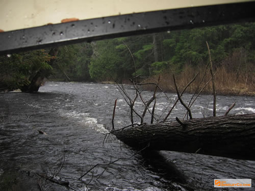 Waiting under the canoe for the rain to pass.