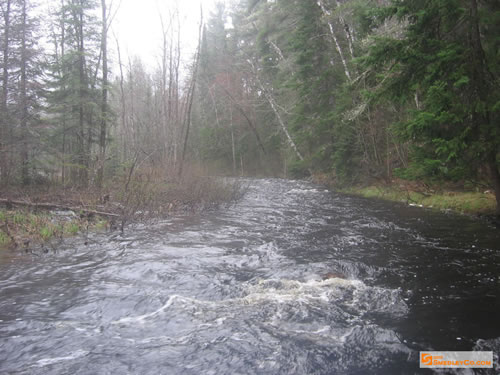 Fast water, we walked and paddled.