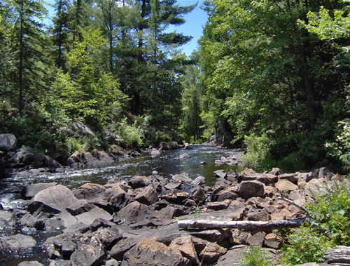 A section of the river that required portaging around.