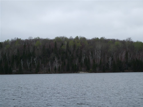Early spring view of Craig Lake.
