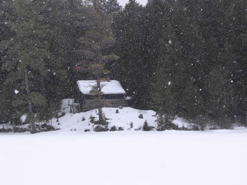Algonquin cabin in the snow.