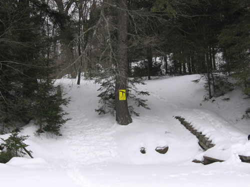 Hill at the start of the Head Lake portage.