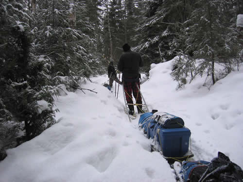 Taking a breather along the snowshoe trail.