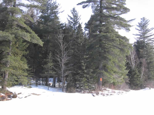 Camp site in winter.