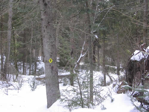 Along the Highland Backpacking Trail.