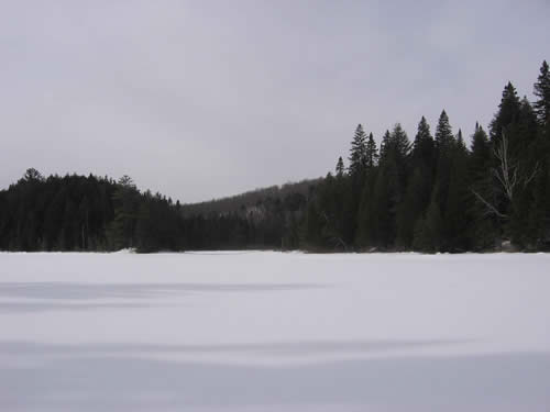 Shoreline of frozen Harness Lake.