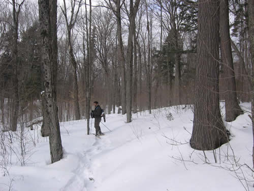 Mark on the trail badk to Head Lake.