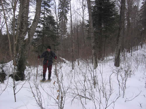 Mike snowshoeing up the ravine.