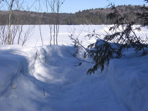 The well trodden path to the lake.