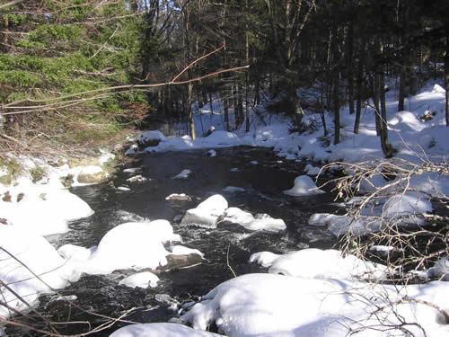 A stretch of Head Creek.