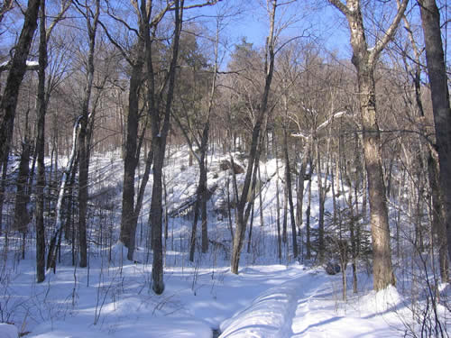 Ice covered hill on the way out.