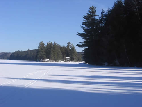 Algonquin cabin in the sunshine.