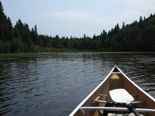 Start of Maple Creek and the 915m portage.