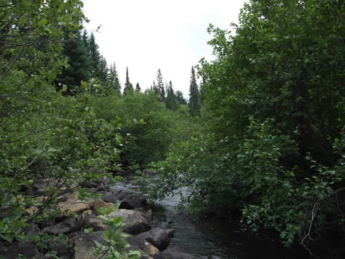 A narrow section after the 190m portage.