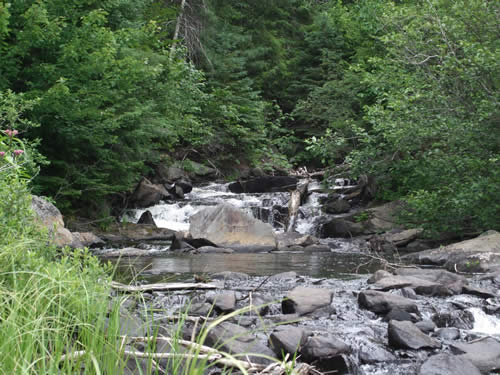 Small set of falls on Maple Creek.