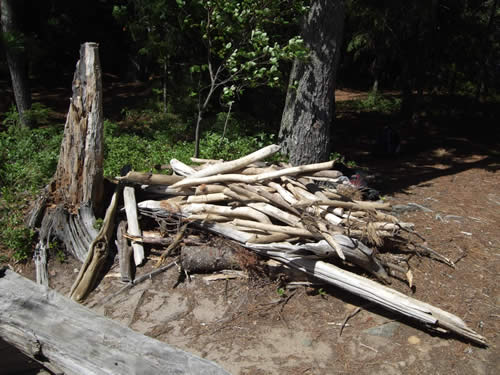 The wood pile.