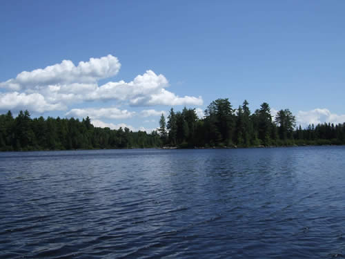 Maple Lake shoreline.