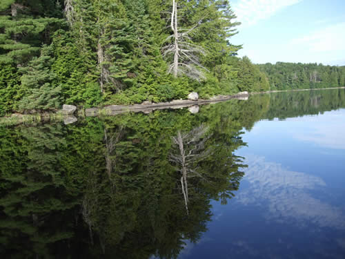 Reflections in the still lake.