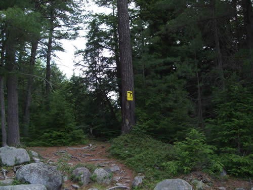 Start of the 805m portage on Maple Creek.