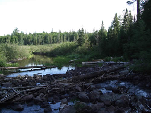 Rocks and logs at bottom of rapids on Maple Creek.