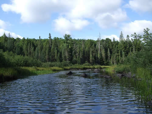 Wind ripples on a straighter section of the creek.