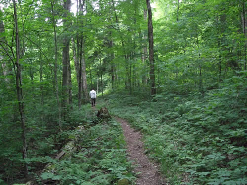 Markus walking along the portage.