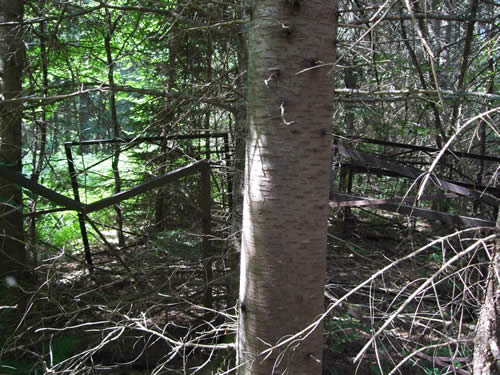 The "ruins", rusty old bunk bed frames.