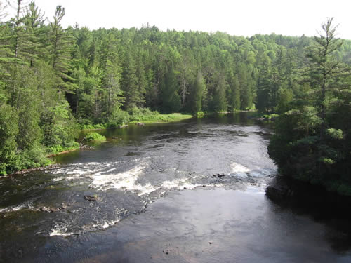 View downstream from the bridge.