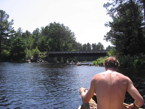 Logging road bridge.