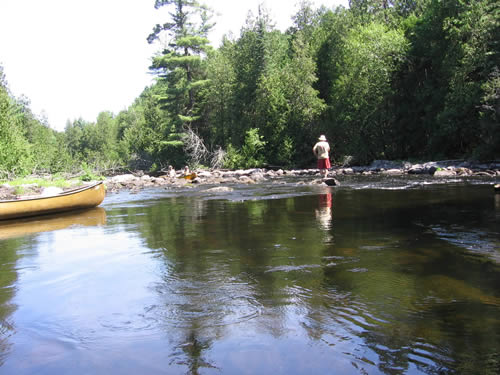 Trying to paddle up the rapids.