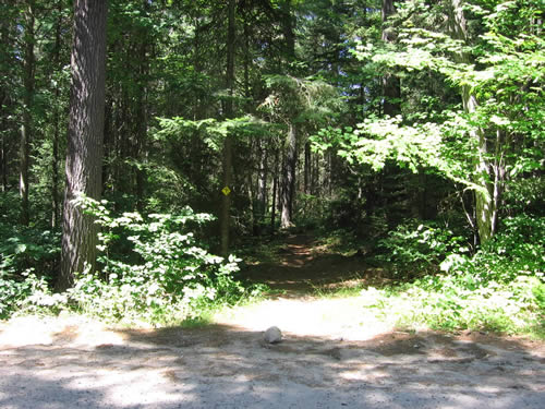 At the logging road crossing on the Dickson - Bonfield portage.