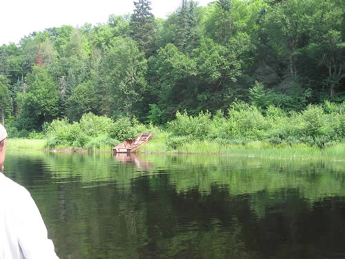 Old boat pulled up on shore.