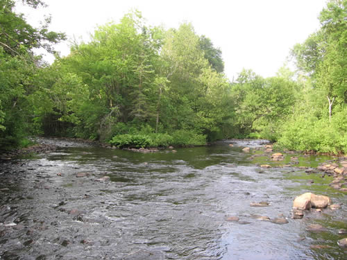 McCraney Creek (left) joining the Big East River.